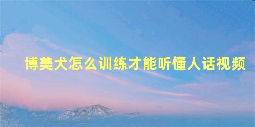 博美犬怎么训练才能听懂人话视频