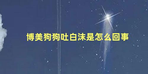 博美狗狗吐白沫是怎么回事