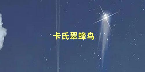 卡氏翠蜂鸟