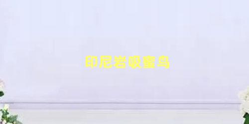 印尼岩吸蜜鸟