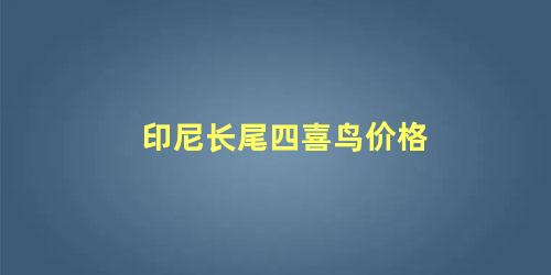印尼长尾四喜鸟价格