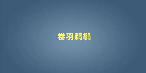 卷羽鹈鹕
