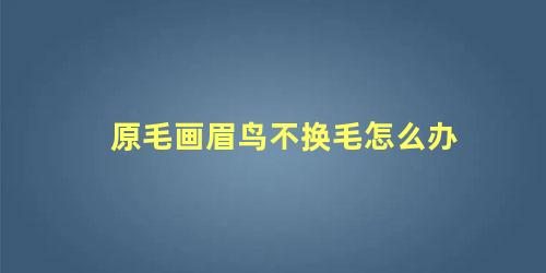 原毛画眉鸟不换毛怎么办