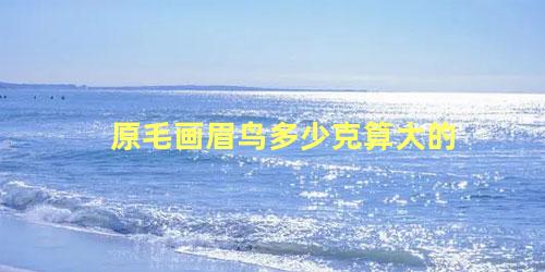 原毛画眉鸟多少克算大的