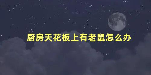 厨房天花板上有老鼠怎么办