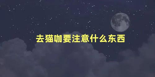 去猫咖要注意什么东西