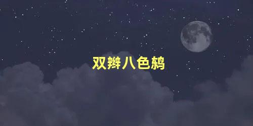 双辫八色鸫