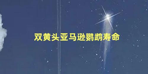 双黄头亚马逊鹦鹉寿命