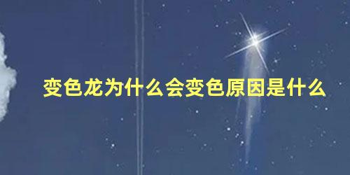 变色龙为什么会变色原因是什么