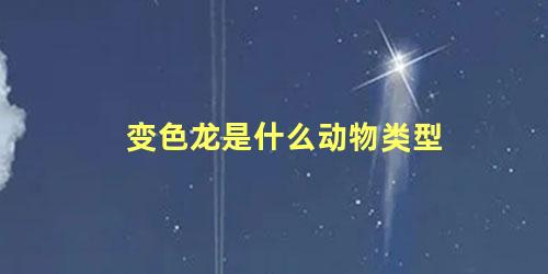 变色龙是什么动物类型