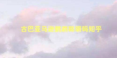 古巴亚马逊鹦鹉聪明吗知乎