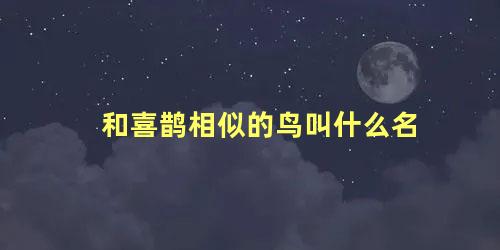 和喜鹊相似的鸟叫什么名