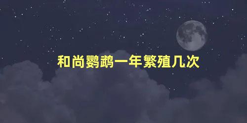和尚鹦鹉一年繁殖几次