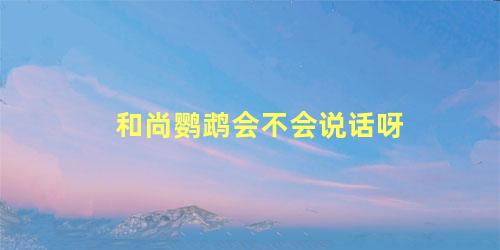 和尚鹦鹉会不会说话呀