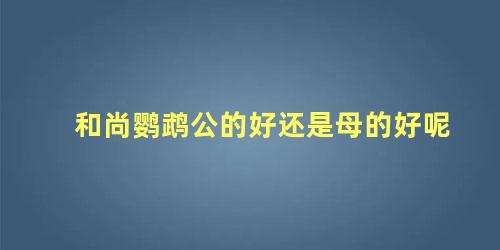 和尚鹦鹉公的好还是母的好呢