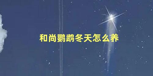 和尚鹦鹉冬天怎么养