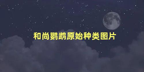和尚鹦鹉原始种类图片