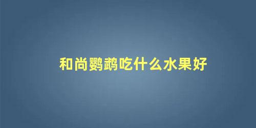 和尚鹦鹉吃什么水果好