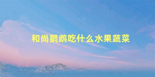 和尚鹦鹉吃什么水果蔬菜
