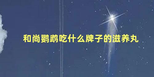 和尚鹦鹉吃什么牌子的滋养丸