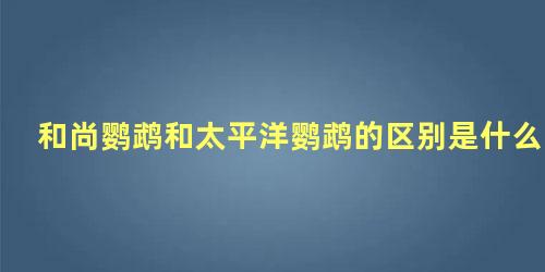 和尚鹦鹉和太平洋鹦鹉的区别是什么