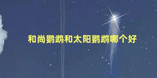 和尚鹦鹉和太阳鹦鹉哪个好