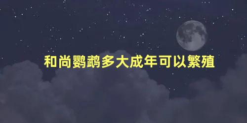 和尚鹦鹉多大成年可以繁殖