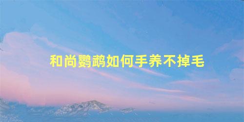 和尚鹦鹉如何手养不掉毛