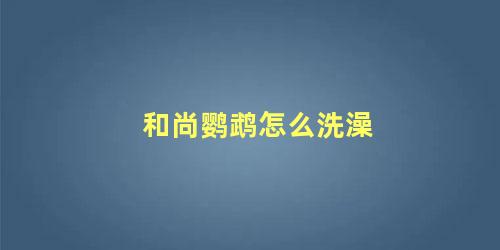 和尚鹦鹉怎么洗澡
