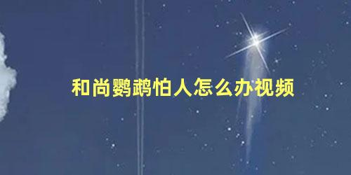 和尚鹦鹉怕人怎么办视频