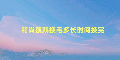 和尚鹦鹉换毛多长时间换完