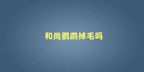 和尚鹦鹉掉毛吗