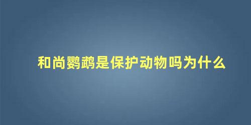 和尚鹦鹉是保护动物吗为什么