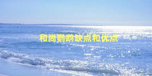 和尚鹦鹉缺点和优点
