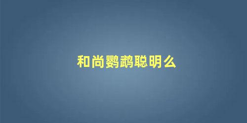 和尚鹦鹉聪明么