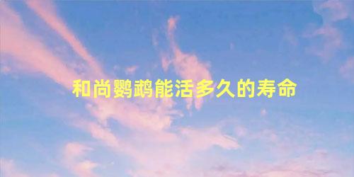 和尚鹦鹉能活多久的寿命