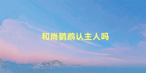 和尚鹦鹉认主人吗