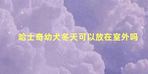 哈士奇幼犬冬天可以放在室外吗