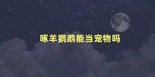 啄羊鹦鹉能当宠物吗