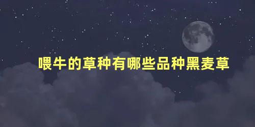 喂牛的草种有哪些品种黑麦草