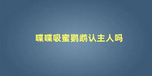 喋喋吸蜜鹦鹉认主人吗
