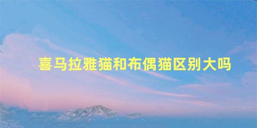 喜马拉雅猫和布偶猫区别大吗
