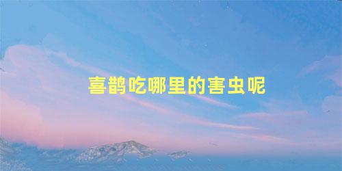 喜鹊吃哪里的害虫呢