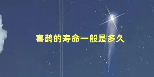 喜鹊的寿命一般是多久