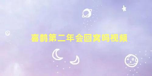 喜鹊第二年会回窝吗视频