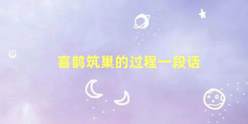 喜鹊筑巢的过程一段话