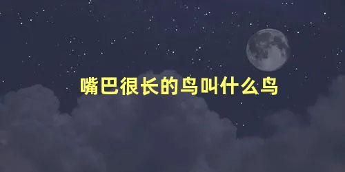 嘴巴很长的鸟叫什么鸟