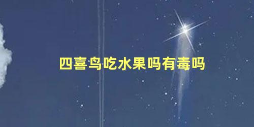 四喜鸟吃水果吗有毒吗