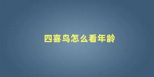 四喜鸟怎么看年龄
