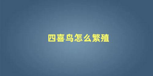 四喜鸟怎么繁殖